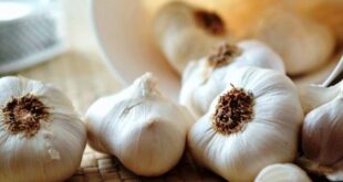 Manfaat Bawang Putih untuk Wajah Mengatasi Jerawat Hingga Melawan Penuaan Dini