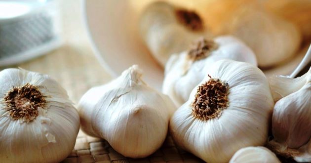 Manfaat Bawang Putih untuk Wajah Mengatasi Jerawat Hingga Melawan Penuaan Dini