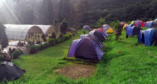 Tempat Wisata Camping di Bogor Instagramable